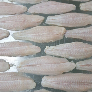 Frozen Pangasius Well Trimmed