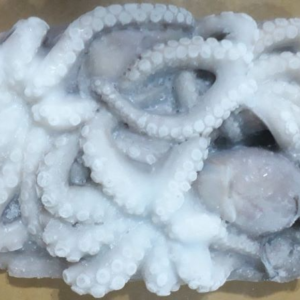 Frozen Cut Poulp Squid