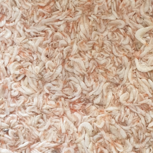 Frozen Salted Baby Shrimp