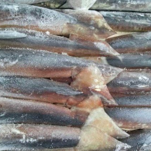 Frozen Black Squid